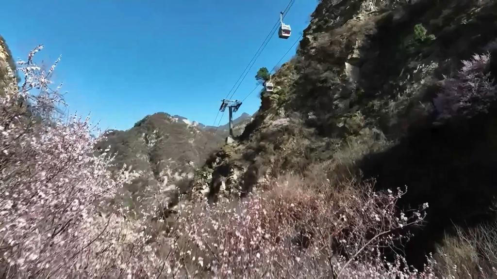 365买球平台